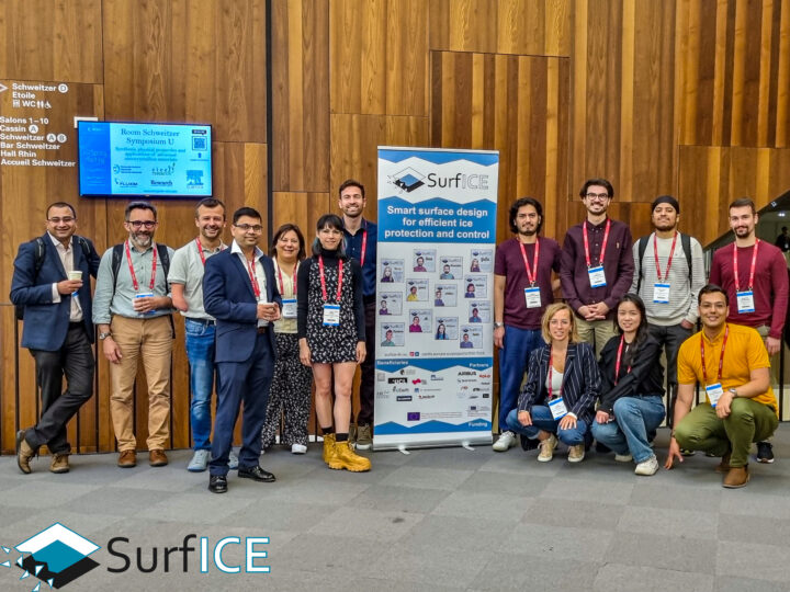 SURFICE team participated in EMRS2024 conference